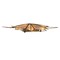 Kurt Adler 9.45-Inch UL 10-Light 7-Point Gold Glittered Capiz Star Tree Topper